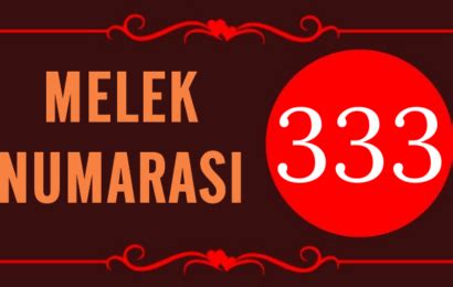 GÖRMEYE DEVAM ETTİĞİN MELEK SAYISI 888’İN .